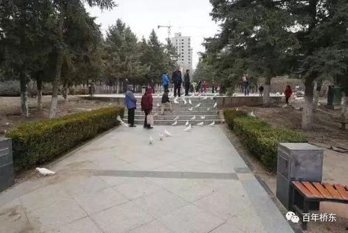 张家口公园爆料视频,揭秘公园里的惊人秘密  第1张